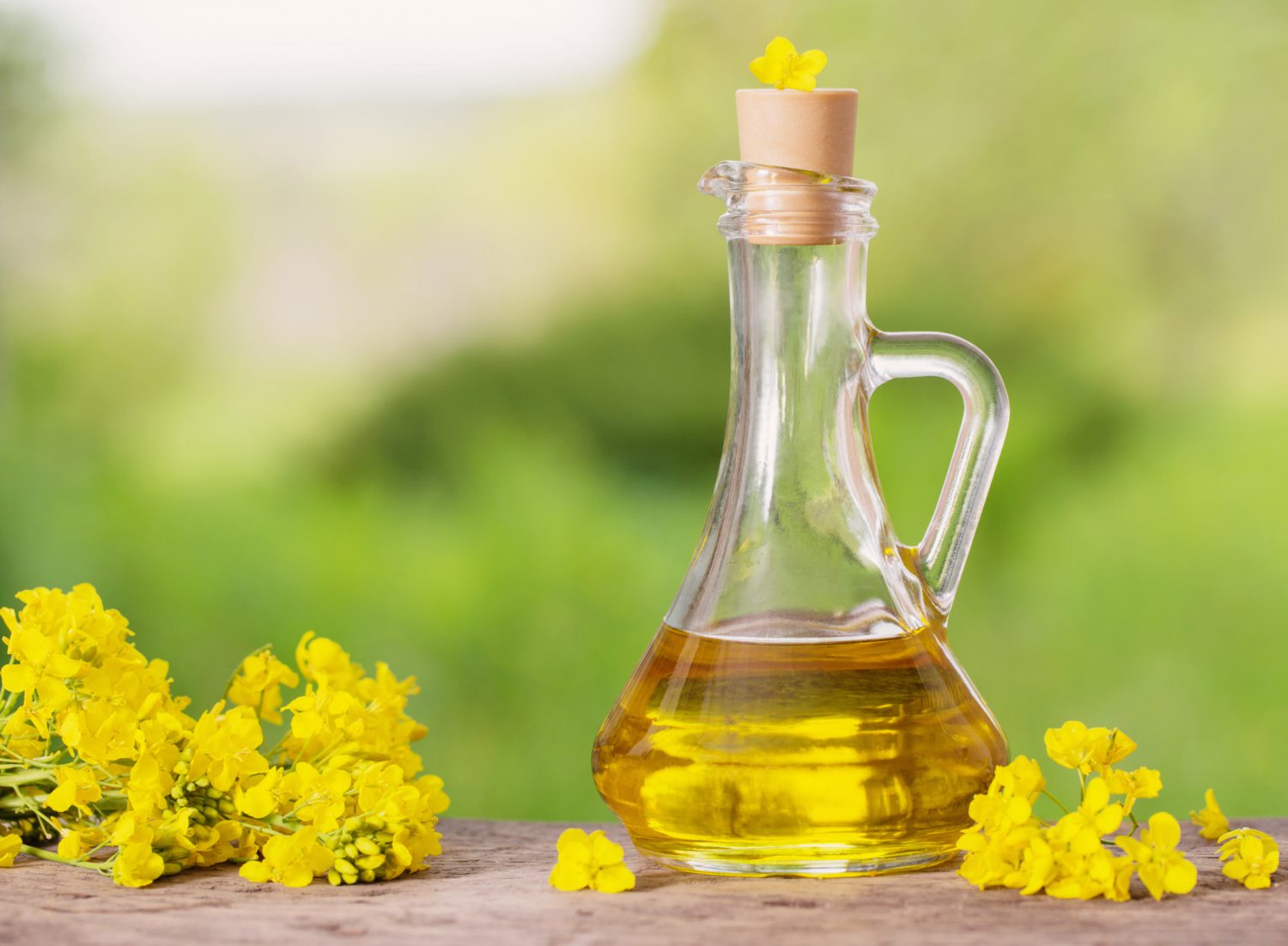 A bottle of CanolaMAX beside bright yellow canola flowers on a wooden surface with a green background.
