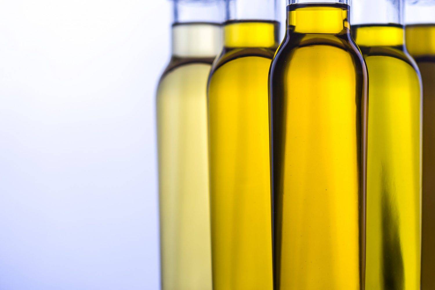 Row of elegant bottles filled with golden CanolaMAX cooking oil, highlighted against a light background.